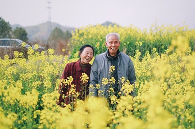 站在黄花丛中的男女